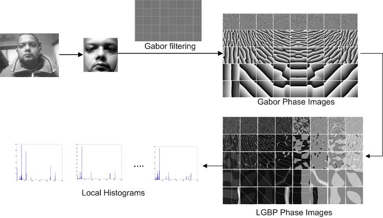 Facial Expression Analysis