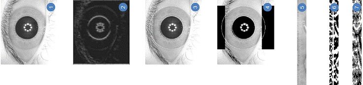 Dual IRIS Based Identification